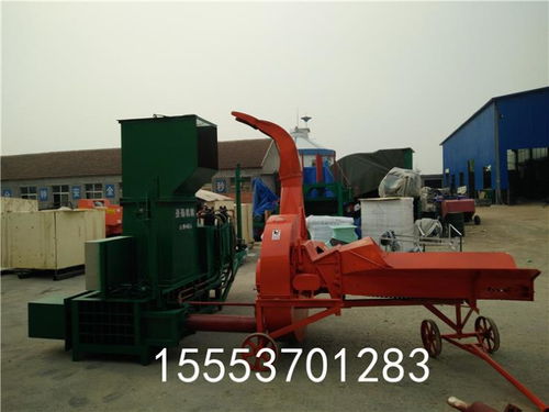 全自動蒜皮打包機圖片